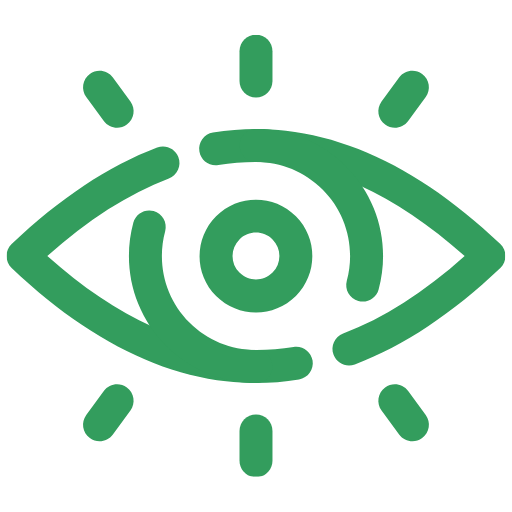 Vision