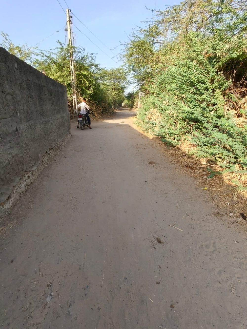 🌾 કૃષિ વિકાસ