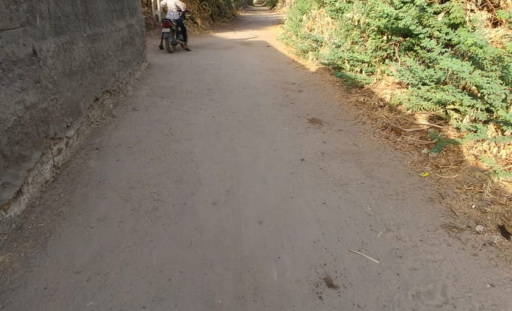 🌾 કૃષિ વિકાસ
