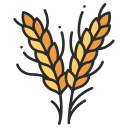 Premium Wheat Only