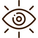 Our Vision