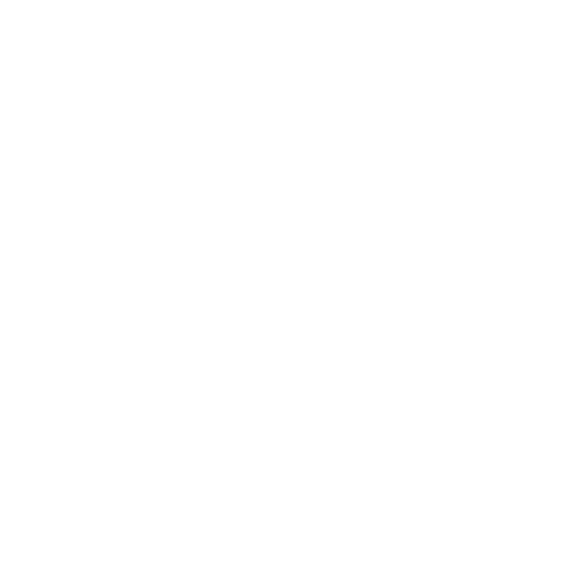 Custom SEO Solution