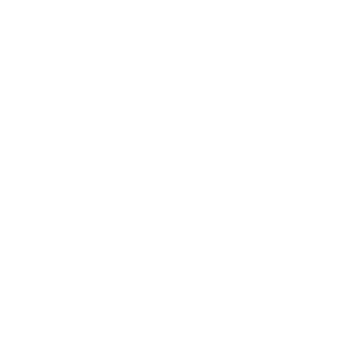 Proffesional Services