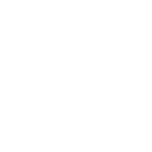Loan