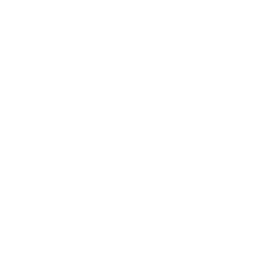 Luxury Travel Services