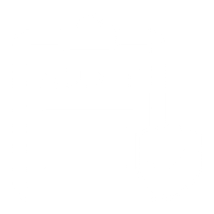 Audit & Evaluation