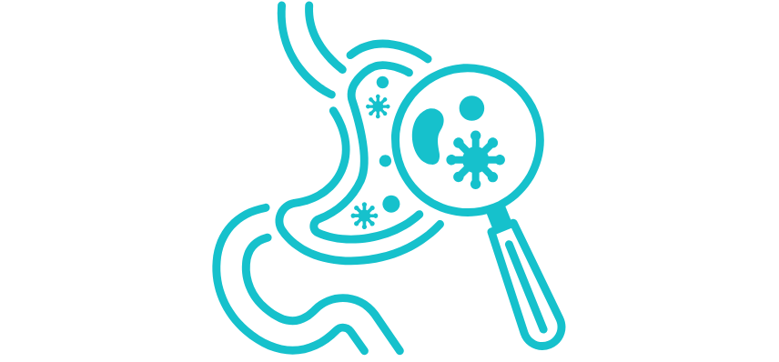 Rare Disease Diagnosis