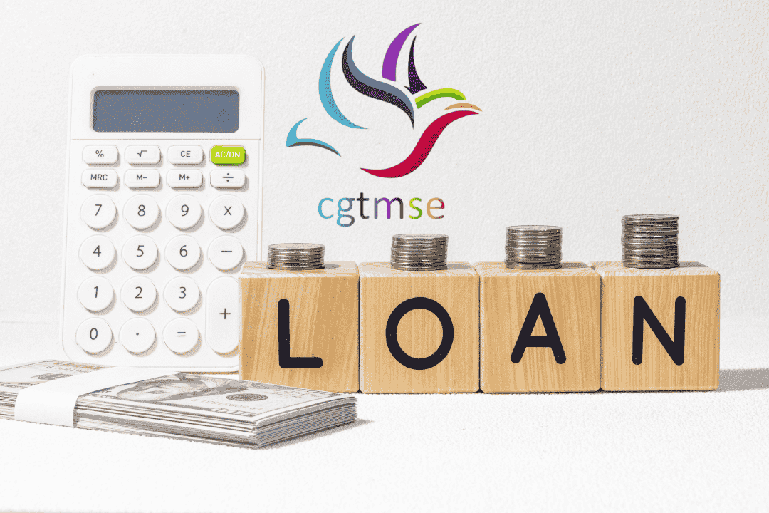 CGTMSE LOAN