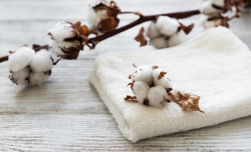 Cotton