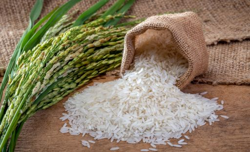 Rice