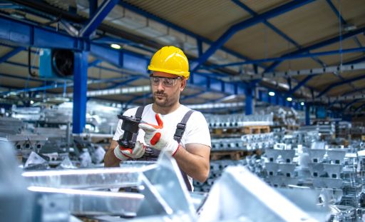 Quality Seed Production