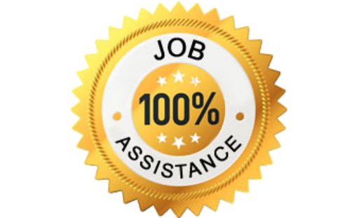 100% Job Assistance