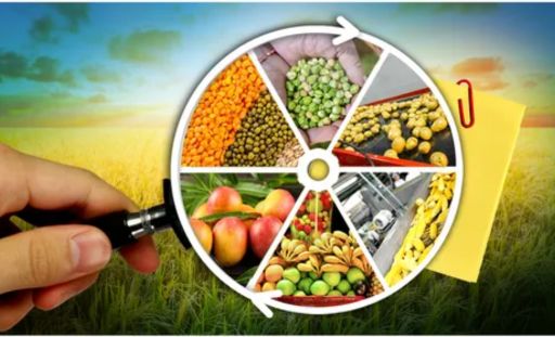 Agro And Food Processing Subsidy