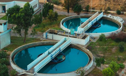 Customized Plant Design