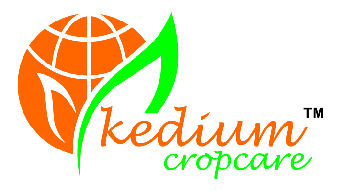 KEDIUM