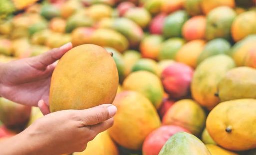 Rich in Nutrients