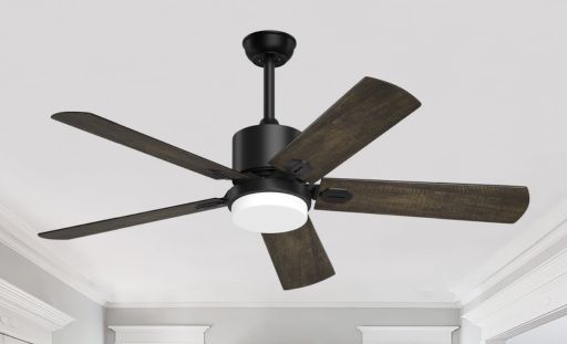 Ceilling Fan 
