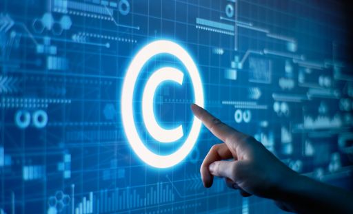 End-to-End Intellectual Property Protection