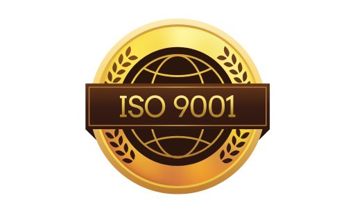 ✨ International Standards