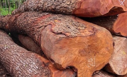 Strong, durable & long-lasting products