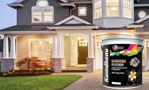 Interior & Exterior Paints
