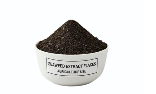 SEAWEED EXTRACT POWDER/FLAKES(BLACK,GREEN,RED)