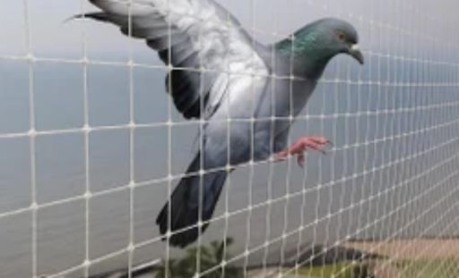 Effective Bird Net Installation