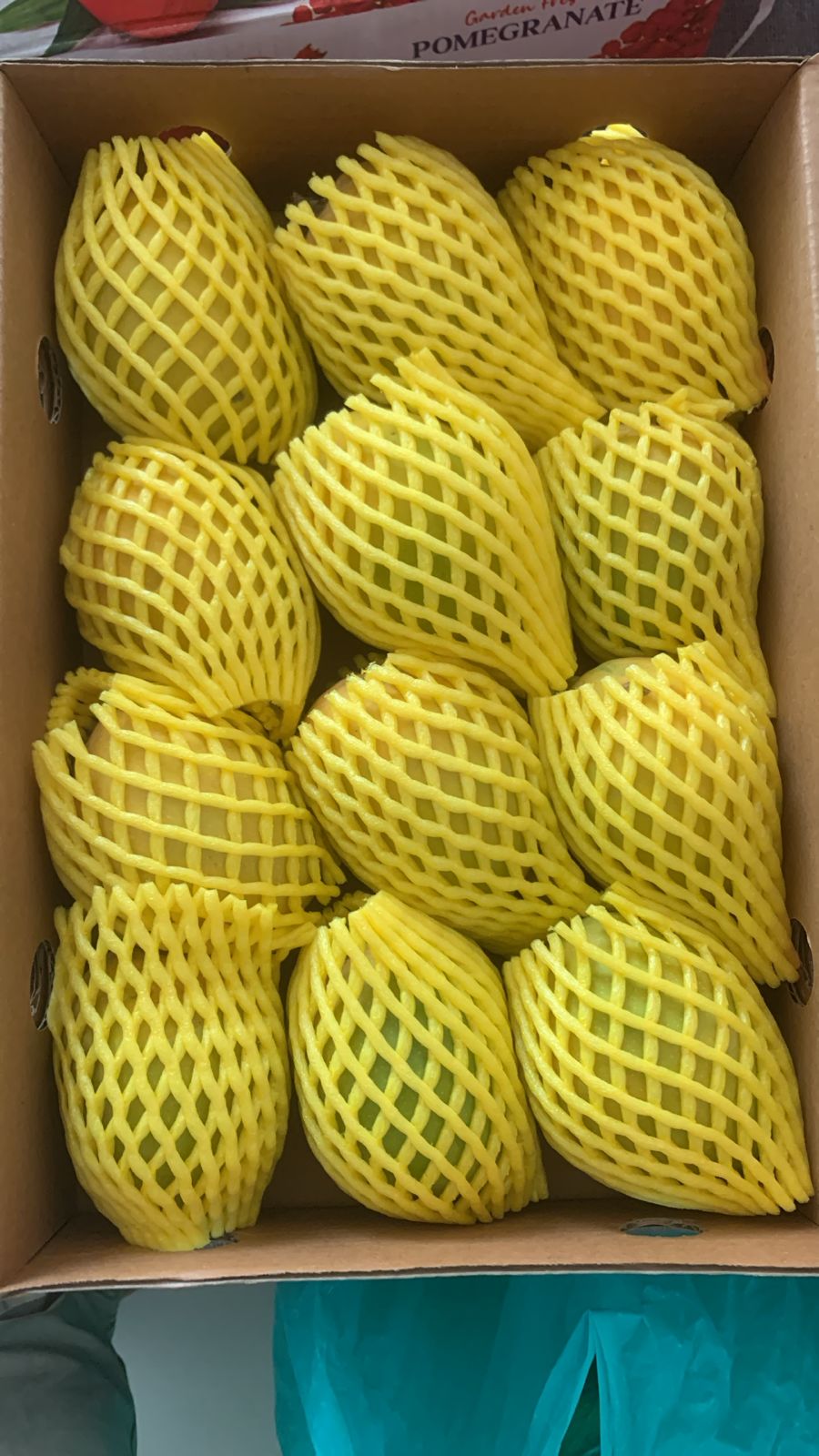 Premium Export Quality