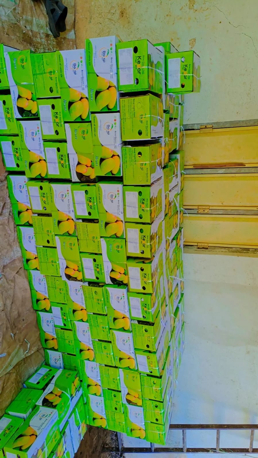 Ready for Dispatch