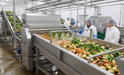 Process Food & Vegetable Industries