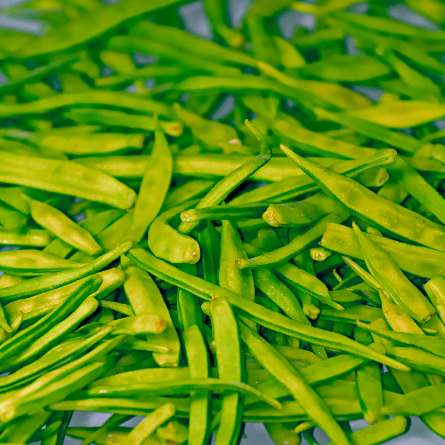 Guar Beans
