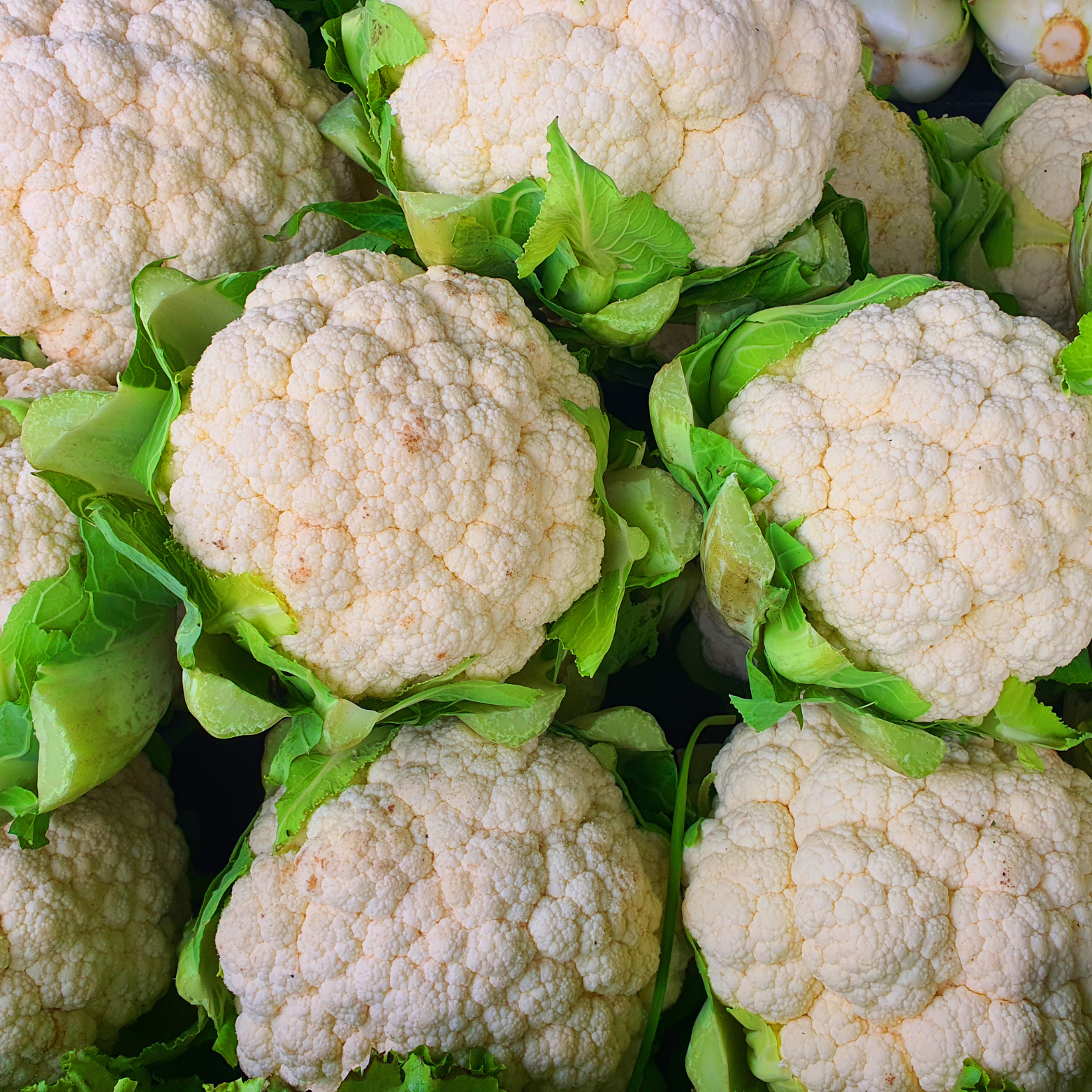 Fresh Cauliflower
