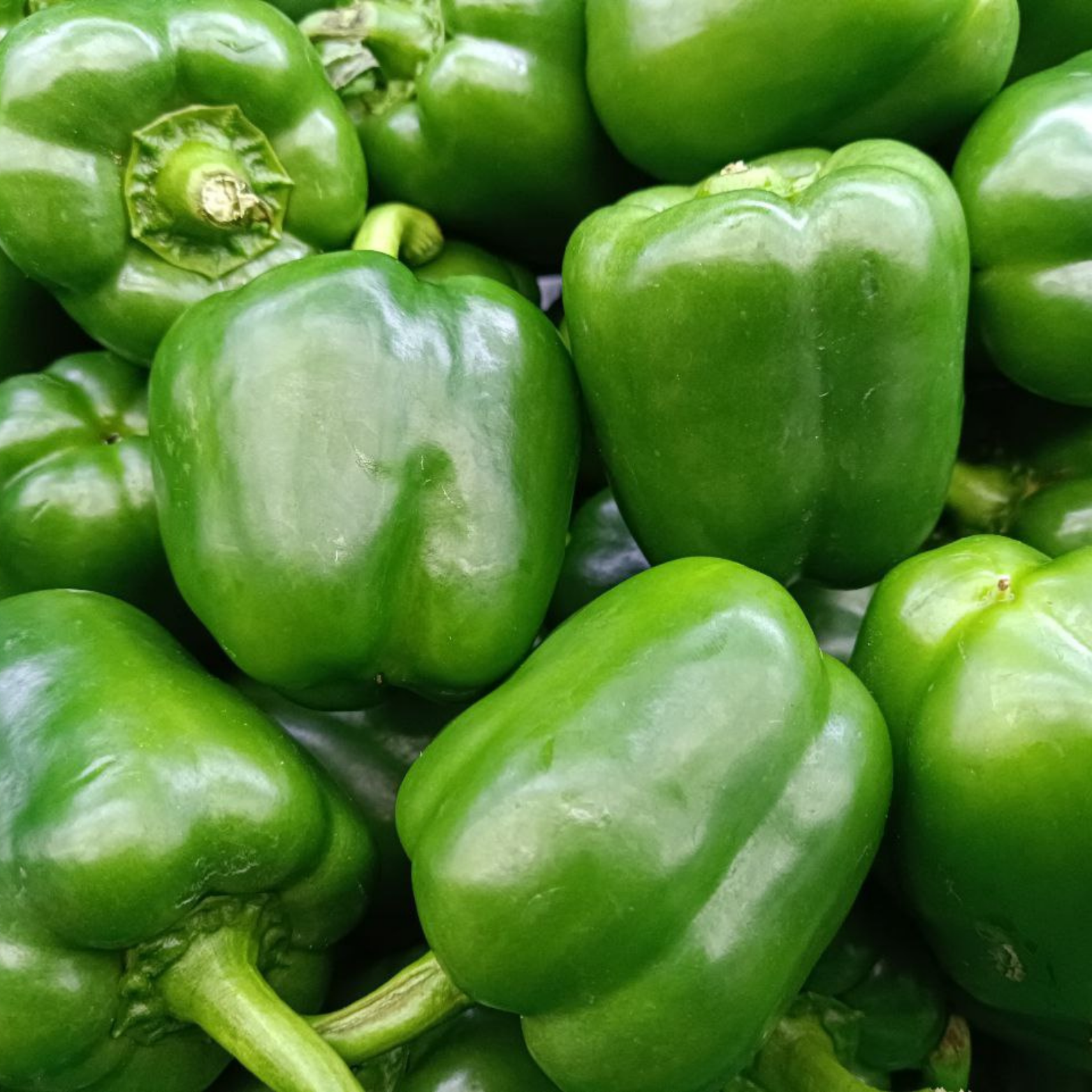 Green Capsicum