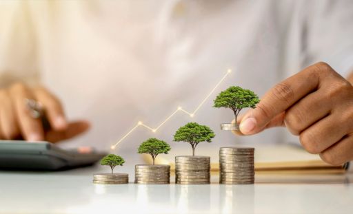 Personalized Investment Solutions