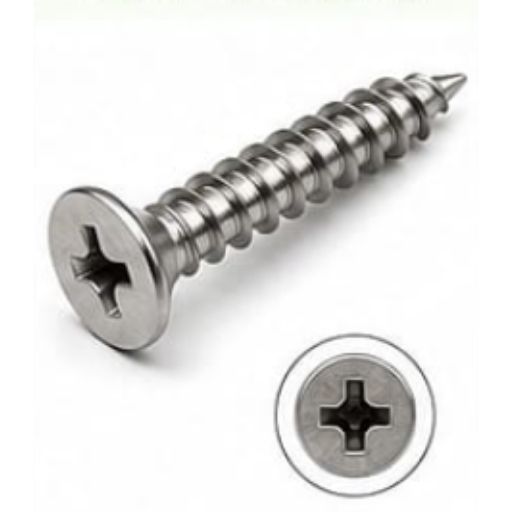 MS CSK Phillips Self Tapping Screw