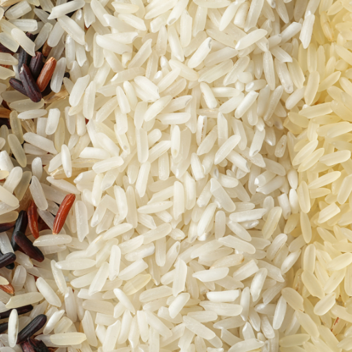 Other Rice Varieties