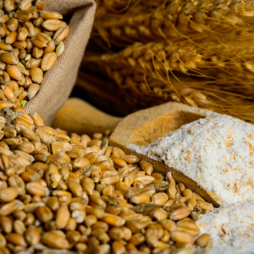 Milling Wheat • Maize • Yellow Maize