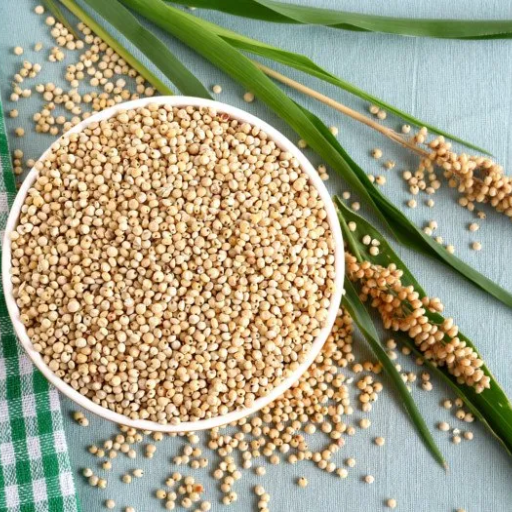 Sorghum / Jowar • Pearl Millet / Bajra