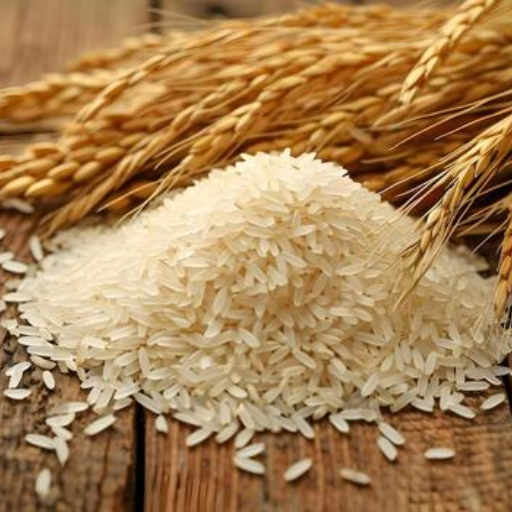 Rice Grains