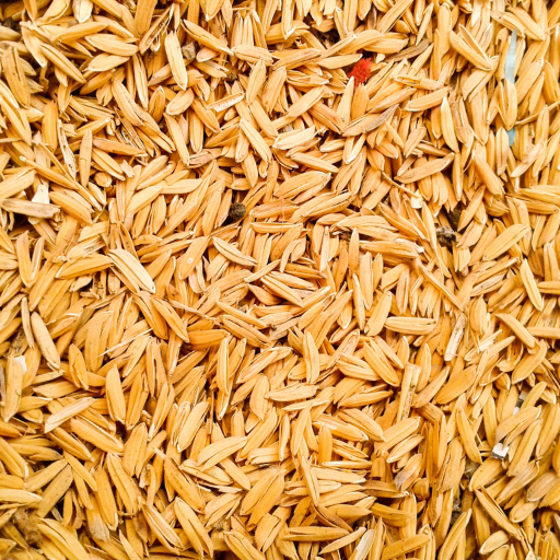 Husked Rice