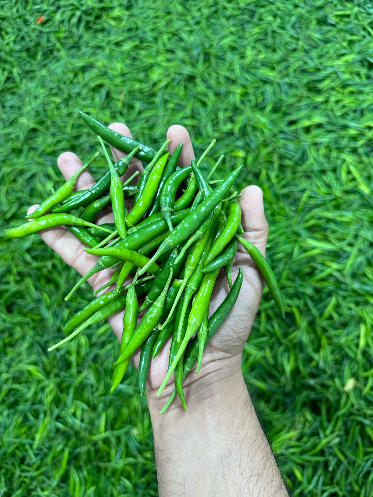 Export product
