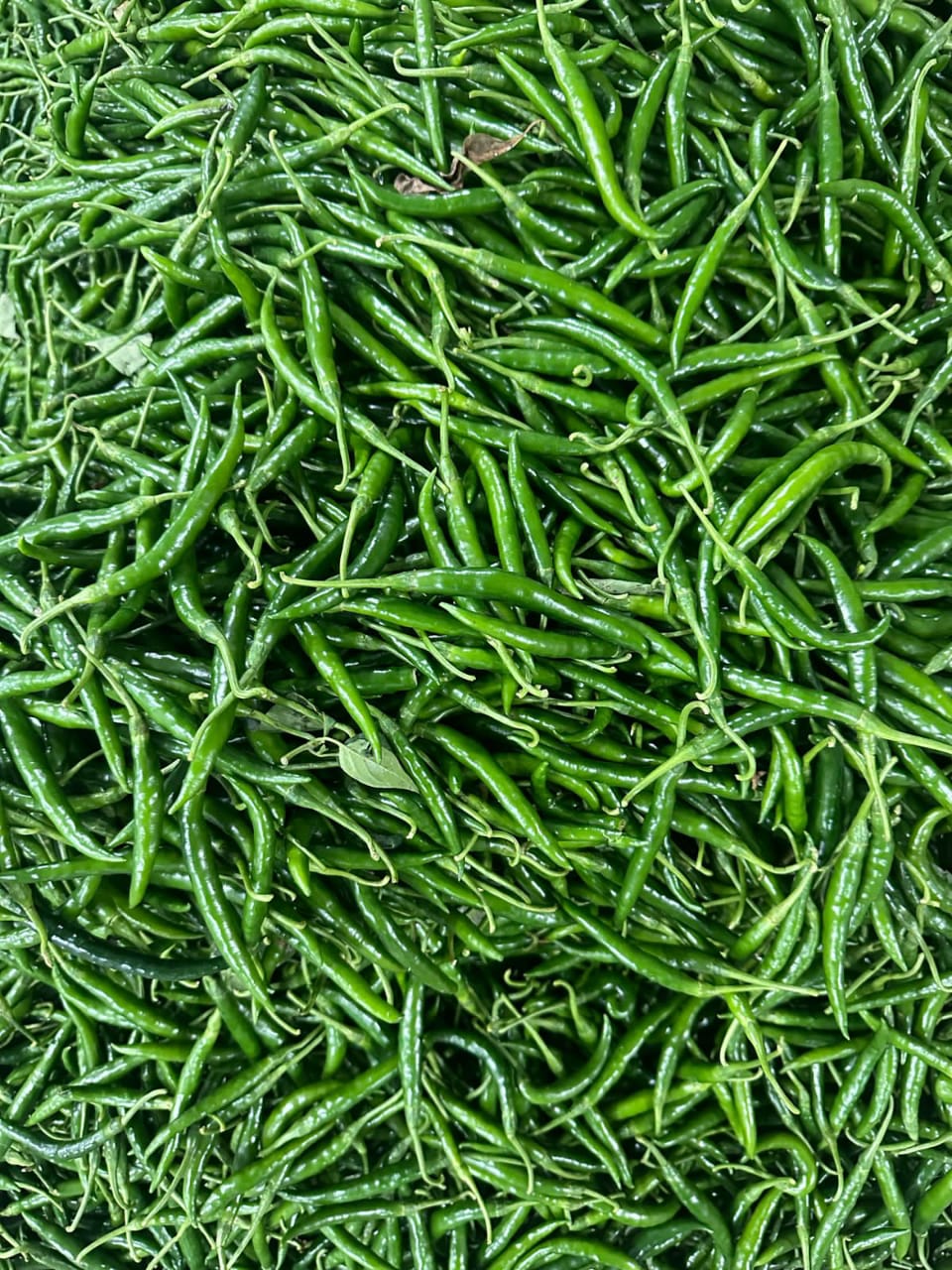 Export product