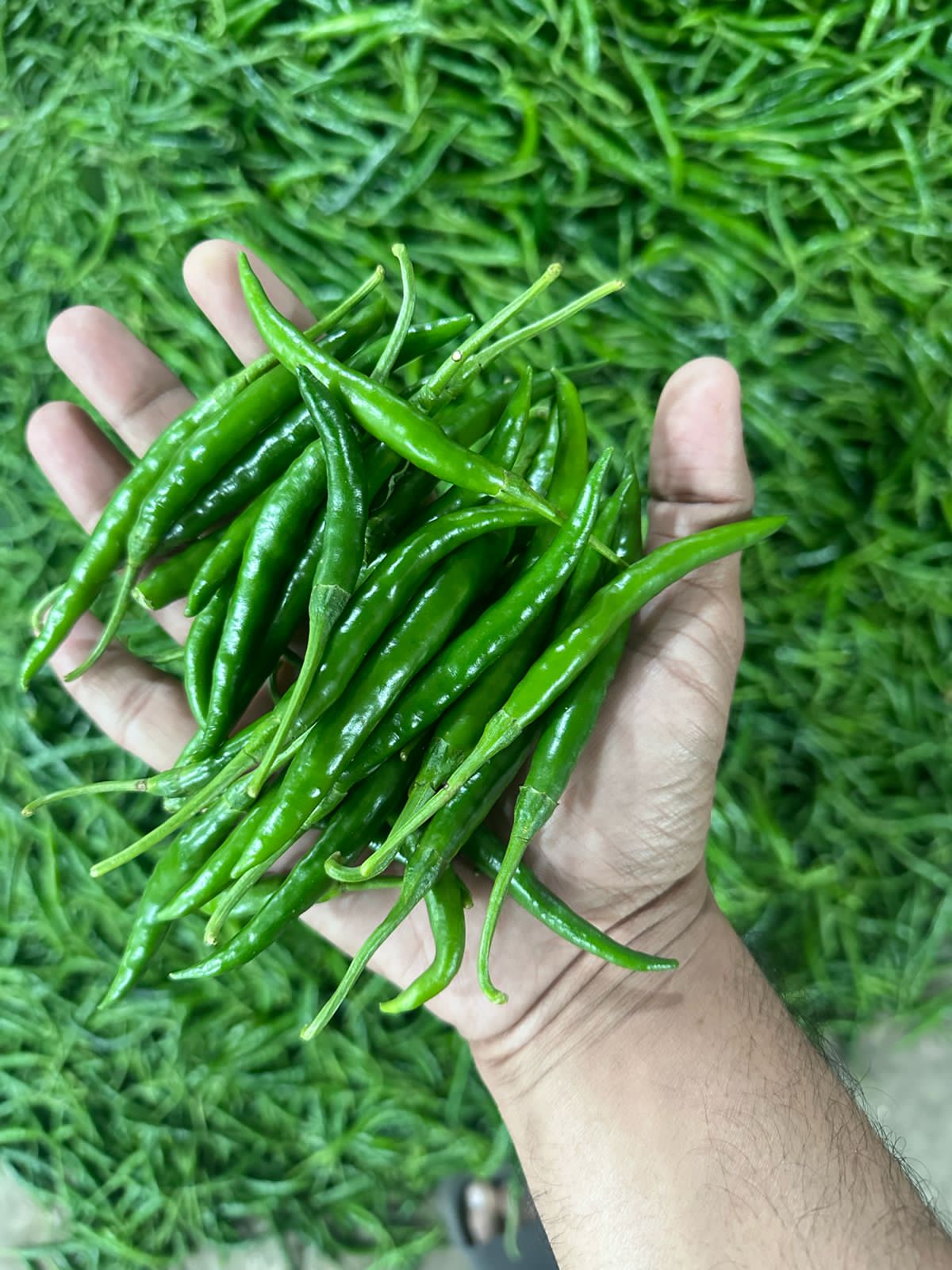 Export product
